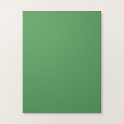 Garden Green 8-1/2" X 11" Card Stock